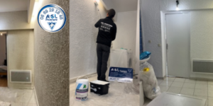 ASL peintures Tarbes 65