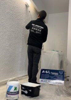 ASL peintures Tarbes 65